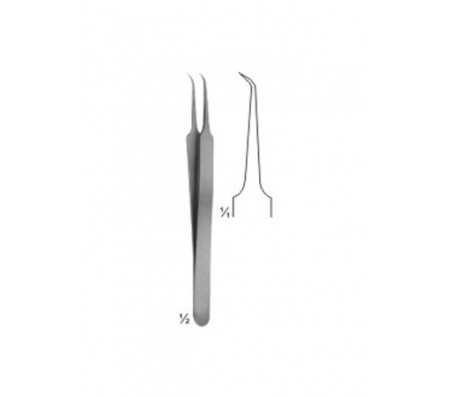 Forceps